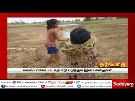 பயமா எனக்கா ஹ ஹா ஹா Video Dailymotion