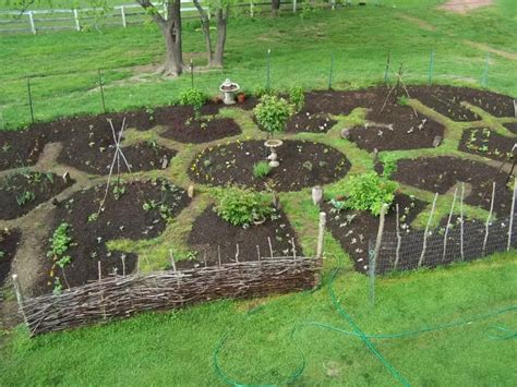 Comment Cr Er Un Potager En Permaculture Et Travailler En Quipe Avec