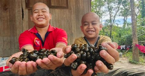 Upin Dan Ipin Cari Siput Sedut Bantu Keluarga Metrotv Harian Metro