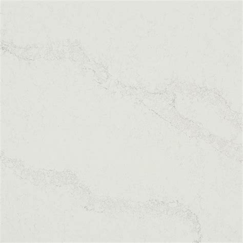 Calacatta Nuvo Caesarstone Quartz | Countertops, Cost, Reviews