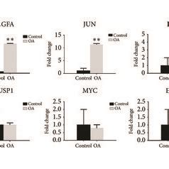 Validation Of The Top Hub Genes By Qrt Pcr Between The Oa Group N