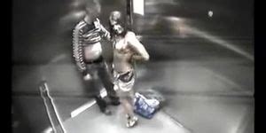 Catfight Club Sex In Elevator Tnaflix