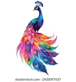 Vector Beautiful Watercolor Blue Peacock Stock Vector (Royalty Free ...