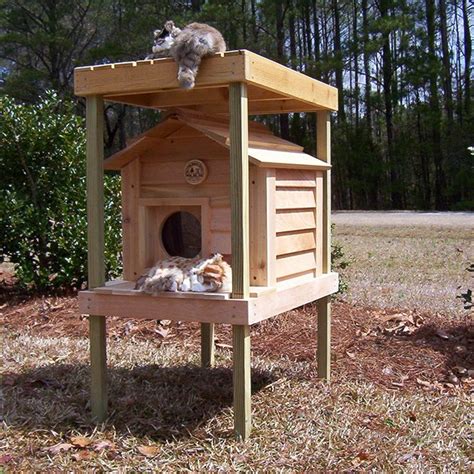 Browse Our Selection Of Custom Dog And Cat Houses By Blythe Wood Works