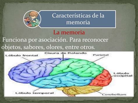 Caracteristicas De La Memoria PPT