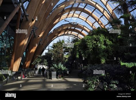 Inside Sheffield Winter Garden Temperate Glasshouse England Uk City