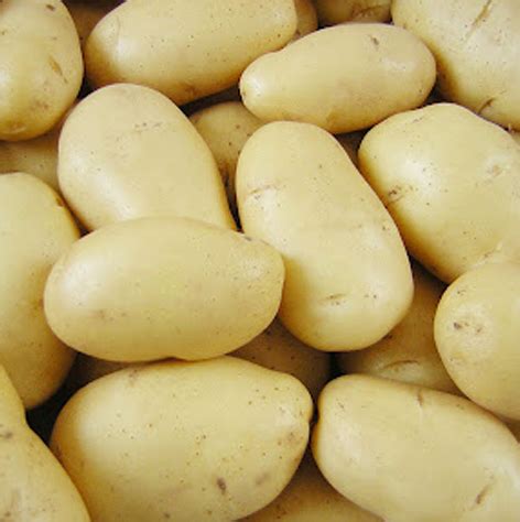 Buy Potatoes Organic Potato Exporters From India Geewin Exim Pvt Ltd