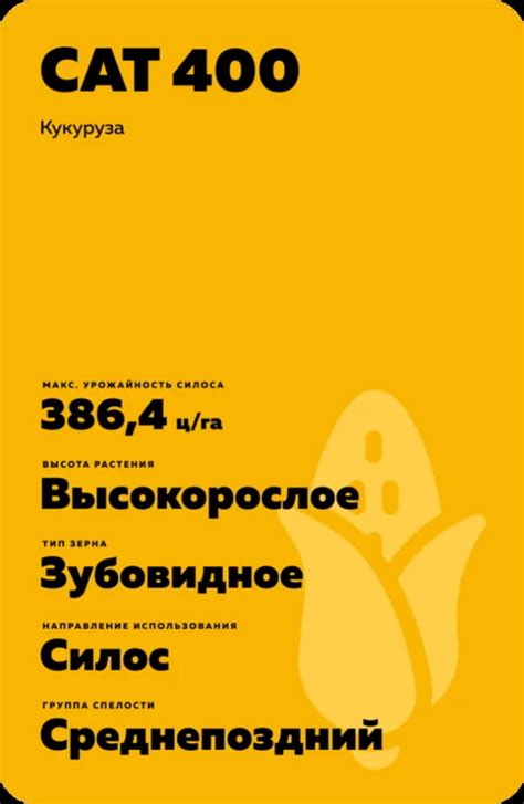 САТ 400 - кукуруза. Характеристики и отзывы