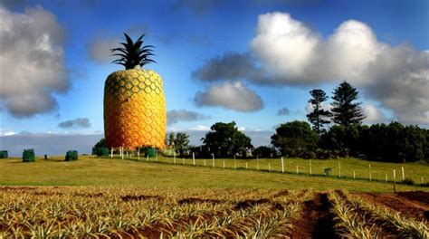 worlds biggest objects ixigo travel stories