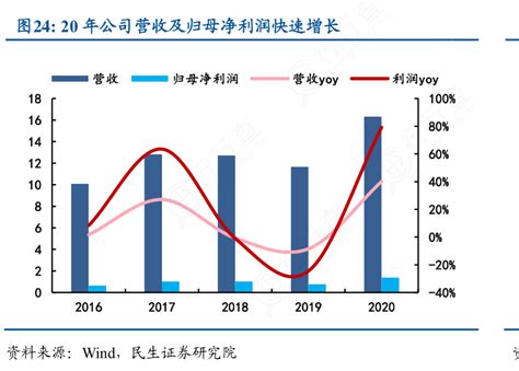 你知道20年公司营收及归母净利润快速增长怎样的行行查行业研究数据库