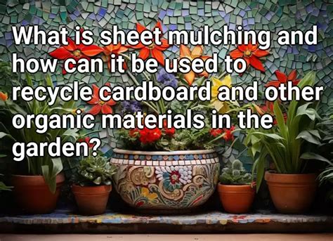 What Is Sheet Mulching And How Can It Be Used To Recycle Cardboard And Other Organic Materials