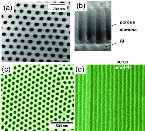 SEM Images Of Anodic Alumina Oxide AAO Templates A Top View Of A