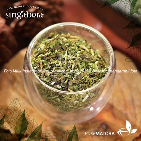 Jual Teh Daun Singabera Moroccan Mint 10Gr Sample Greentea