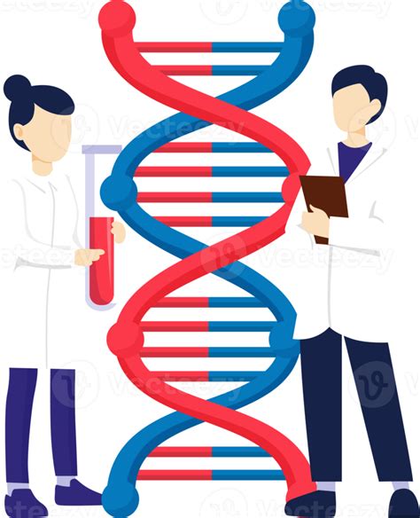 Genomic Scientist And Dna 16619570 Png