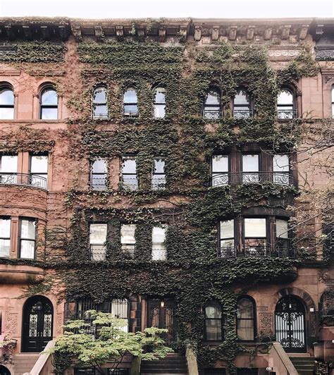 Where To Find Ivy Covered Houses In Nyc York Avenue