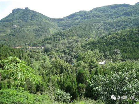 枣庄山亭史山头 山亭史山头村 山亭有山有水的景点 大山谷图库