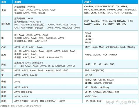 派真小课堂丨aav体内实验选择策略 血清型、启动子、注射方式 知乎