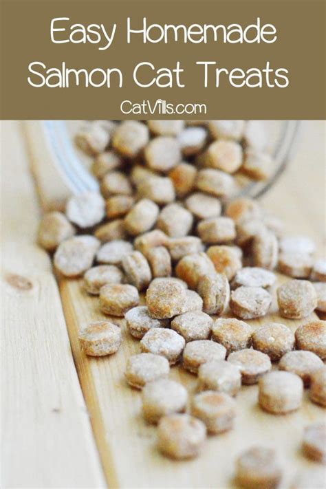 Homemade Salmon Cat Treats Recipe: Flavors of Love