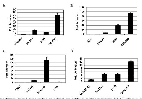 Figure 1 From P300 Functions As A Coactivator Of Transcription Factor