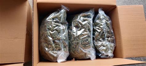 Salzburger Zoll stellt 37 Kilo Marihuana im Möbeltransport sicher