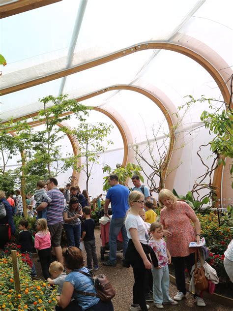 Butterfly House | Whipsnade Zoo