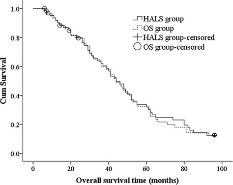 Kaplanmeier Postoperative Survival Curve Of Overall Survival Time