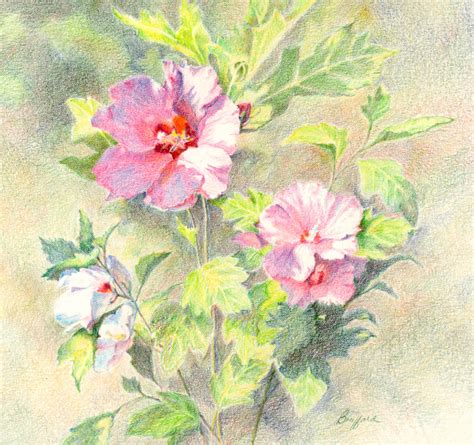 Watercolor Flower Paintings - The Painting Gallery