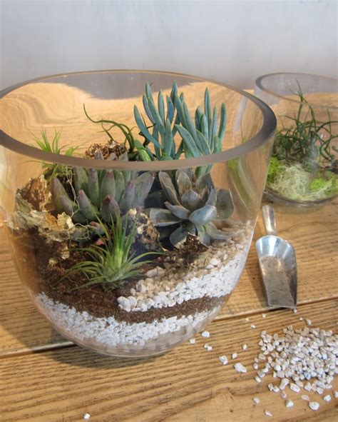 Sammy’s Flowers: Summer Succulent Terrariums