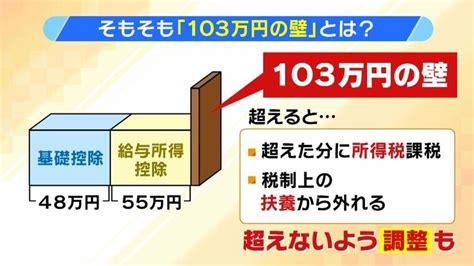 【103万円の壁】引き上げで実は会社員などにもメリット国民民主党案では年収が低い人の方が減税の割合が高い！？ 政府試算『税収約7兆