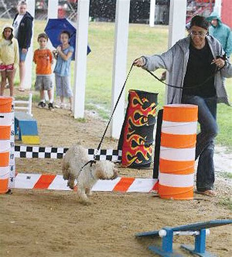 Fido Festival: Salem County Fairgrounds goes to the dogs for two days ...