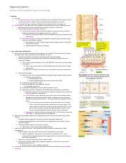 Bi Digestive System Lecture Notes Pdf Digestive System Boston