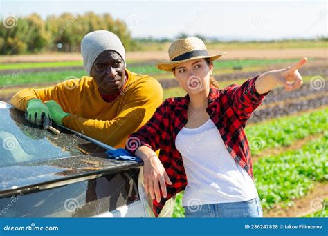 Trabajadores Agrícolas Hablando Cerca De Un Auto En Un Campo Agrícola