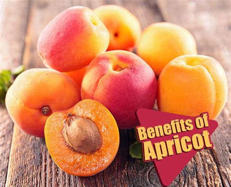 Reasons To Start Eating Apricots Herzindagi