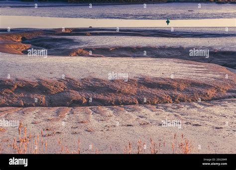 woodbridge suffolk family  res stock photography  images alamy