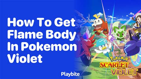 How To Get Flame Body In Pokemon Violet Playbite