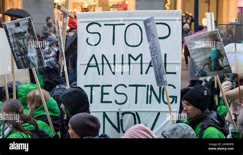 Hamburg Germany 16th Nov 2019 Participants Of A Demonstration