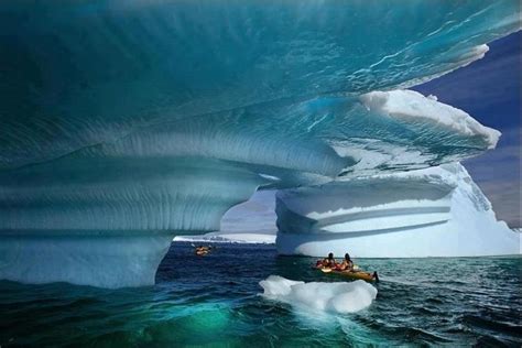 Images Cart: Kayaking Glacier Bay, Alaska