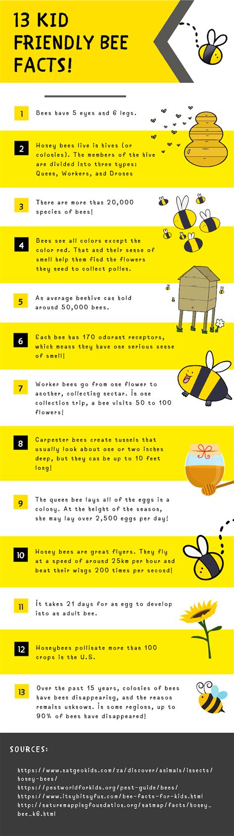 Fun Facts About Honey Bees For Kids - Fun Guest