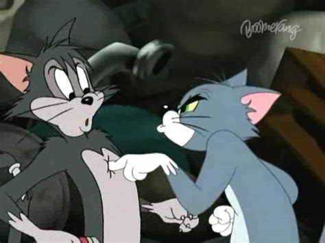 Tom And Jerry Tales S1 E2 Butch Tom By Giuseppedirosso On Deviantart