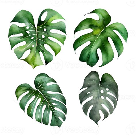 Green Tropical Leaves Watercolor Painting 17373012 PNG