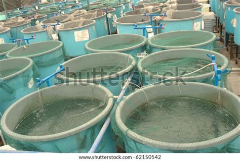 Agriculture Aquaculture Water System Farm Stock Photo 62150542