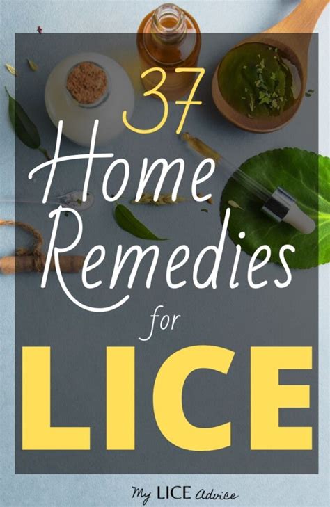 37 Home Remedies for Lice - Find Out Which Ones REALLY Work!