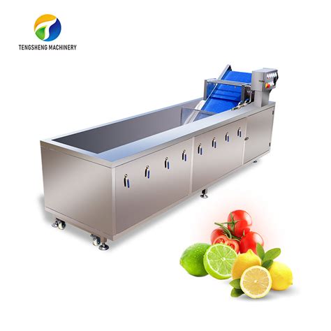 China Commercial Ozone Bubble Ultrasonic Washer Fruit Vegetable Washing