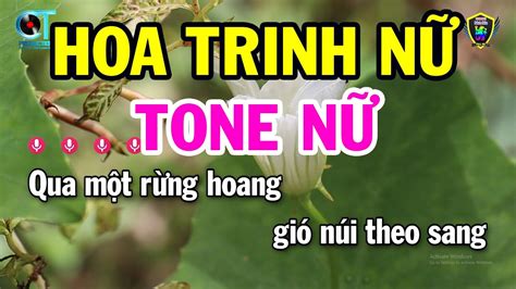 Karaoke Hoa Trinh N Tone N B Nh C S Ng Beat M I Karaoke