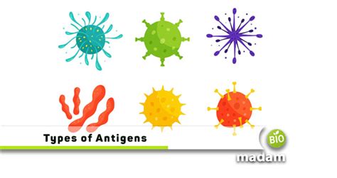 Types Of Antigens Biomadam