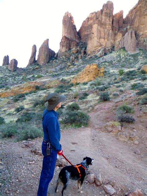 Lookout Mountain Phoenix and Treasure Loop Trail Superstitions ...