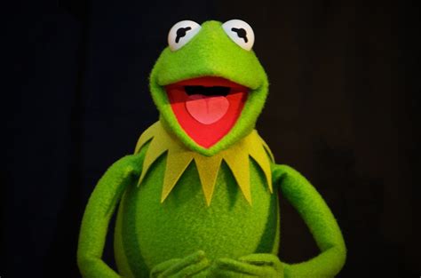 Muppets Most Wanted Kermit The Frog Here