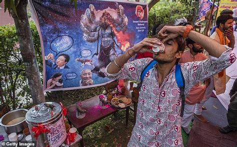 Hundreds Of Hindus Hold Cow Urine Drinking Party In The Belief It Can