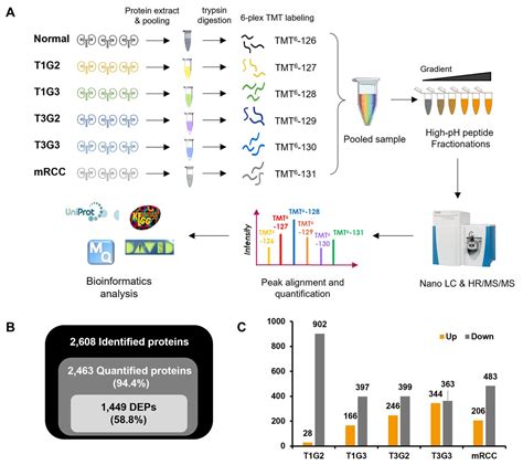 Using Comparative Proteomics To Identify Protein Signatures In Clear Cell Renal Cell Carcinoma