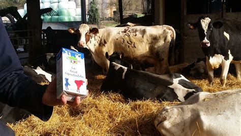 Le Lait Ardennais Quitable Faire France F Te Ses Cinq Ans De Succ S Au